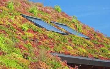Bowmore living roof systems